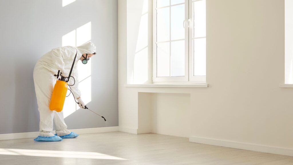 Kammerjäger Notdienst Düsseldorf - Schädlinge bekämpfen in Düsseldorf - Kammerjäger in Düsseldorf - Schädlingsbekämpfung - Schädlinge bekämpfen