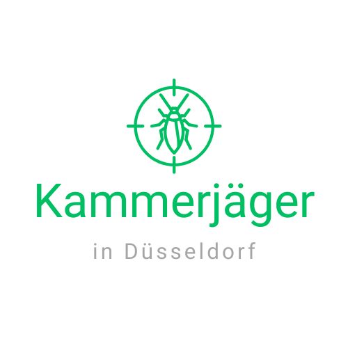 Kammerjäger in Düsseldorf - Schädlingsbekämpfung - Schädlinge bekämpfen