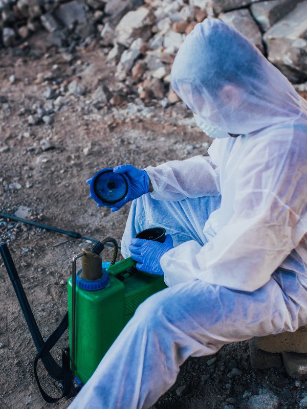 Kammerjäger in Düsseldorf - Schädlingsbekämpfung - Schädlinge bekämpfen