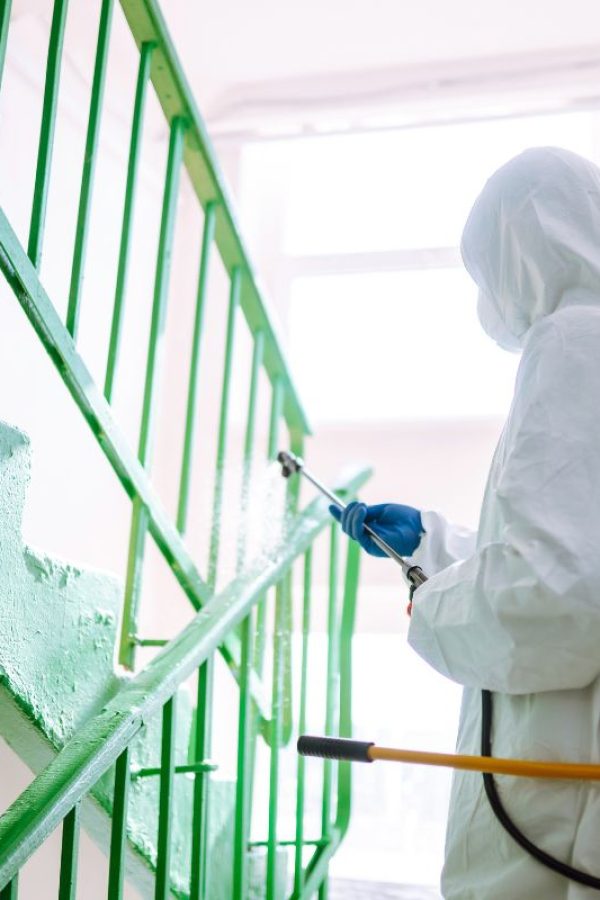 Kammerjäger Notdienst Düsseldorf - Schädlinge bekämpfen in Düsseldorf - Kammerjäger in Düsseldorf - Schädlingsbekämpfung - Schädlinge bekämpfen