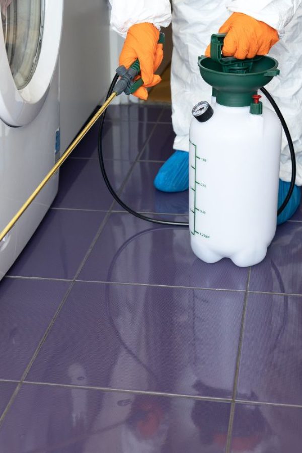 Schädlinge bekämpfen in Düsseldorf – Kammerjäger in Düsseldorf – Schädlingsbekämpfung – Schädlinge bekämpfen Schädlinge bekämpfen in Düsseldorf - Kammerjäger in Düsseldorf - Schädlingsbekämpfung - Schädlinge bekämpfen